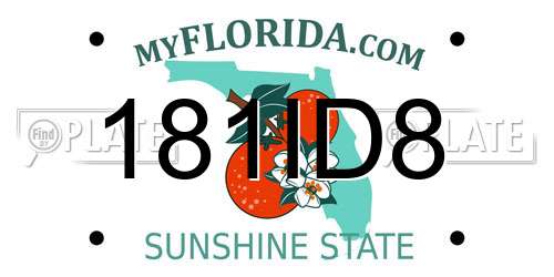 181ID8 Florida License Plate