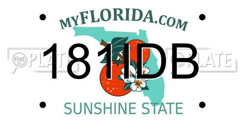 181IDB Florida License Plate