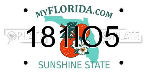181IO5 Florida License Plate