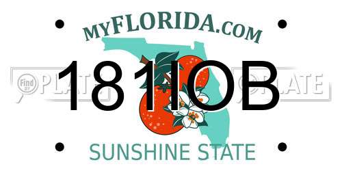 181IOB Florida License Plate