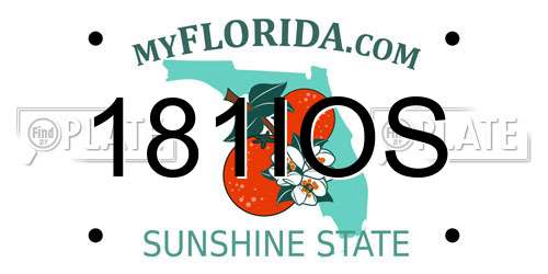 181IOS Florida License Plate