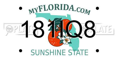 181IQ8 Florida License Plate