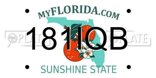 181IQB Florida License Plate