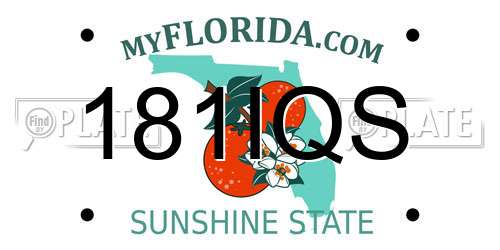 181IQS Florida License Plate