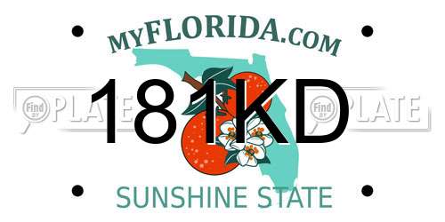 181KD Florida License Plate