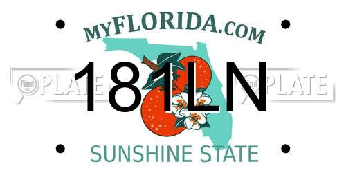 181LN Florida License Plate