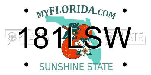 181LSW Florida License Plate