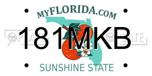181MKB Florida License Plate
