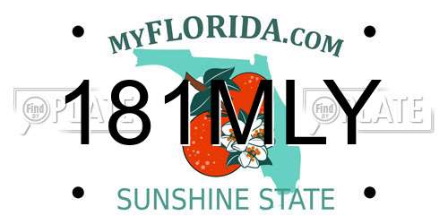 181MLY Florida License Plate