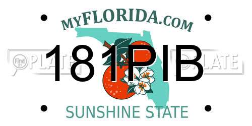 181PIB Florida License Plate