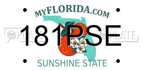 181PSE Florida License Plate