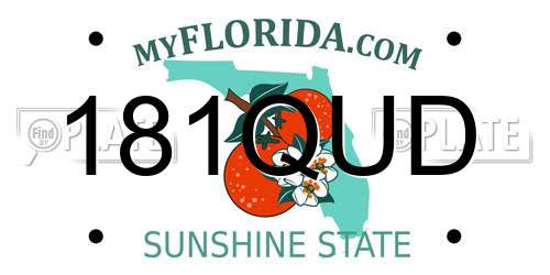 181QUD Florida License Plate