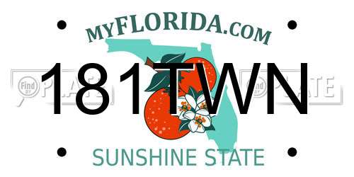181TWN Florida License Plate