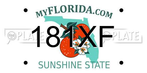 181XF Florida License Plate