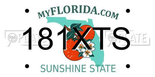 181XTS Florida License Plate