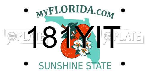 181YIT Florida License Plate