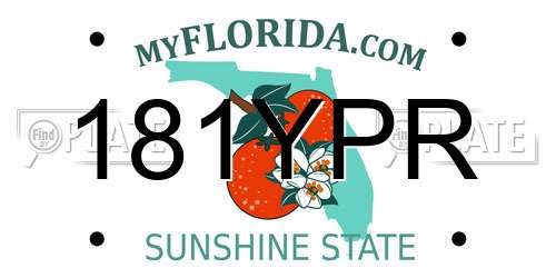 181YPR Florida License Plate