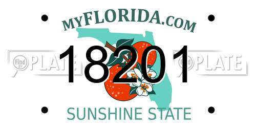 18201 Florida License Plate