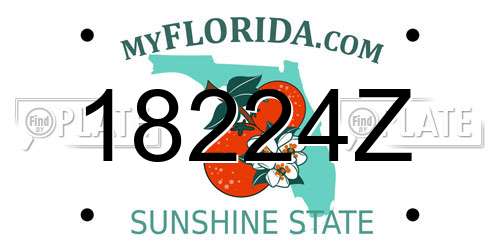 18224Z Florida License Plate