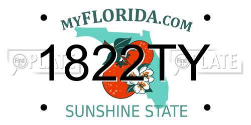 1822TY Florida License Plate