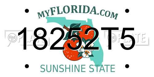 18252T5 Florida License Plate