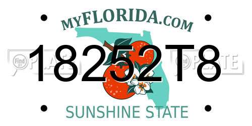 18252T8 Florida License Plate