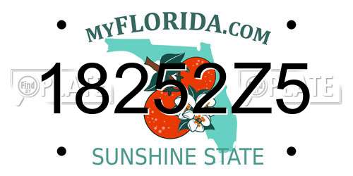 18252Z5 Florida License Plate
