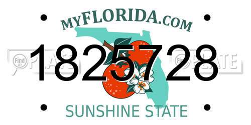 1825728 Florida License Plate