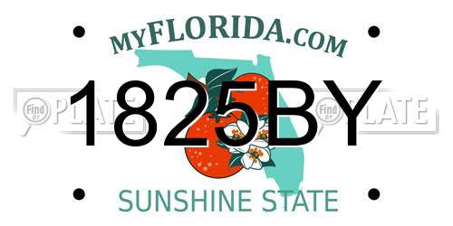 1825BY Florida License Plate