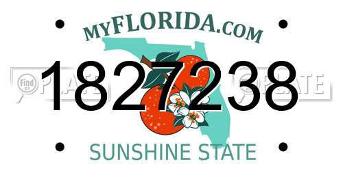 1827238 Florida License Plate