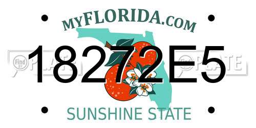 18272E5 Florida License Plate