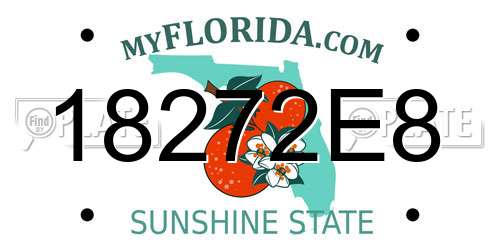 18272E8 Florida License Plate
