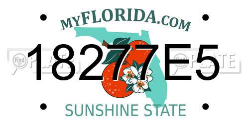 18277E5 Florida License Plate