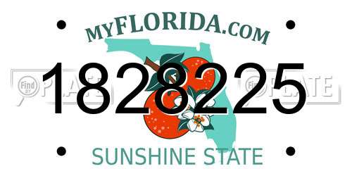 1828225 Florida License Plate