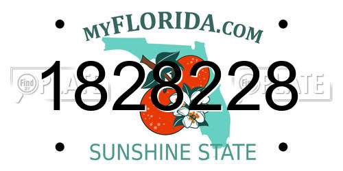 1828228 Florida License Plate