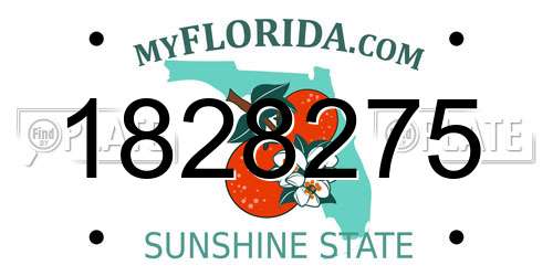 1828275 Florida License Plate