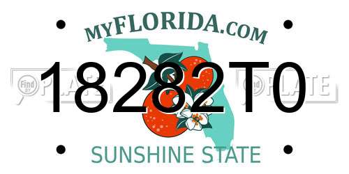 18282T0 Florida License Plate