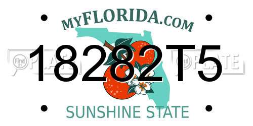 18282T5 Florida License Plate