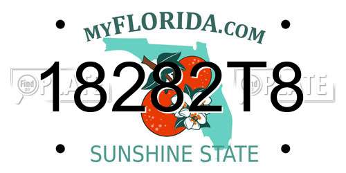 18282T8 Florida License Plate