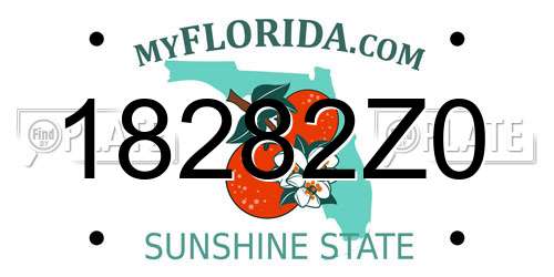 18282Z0 Florida License Plate
