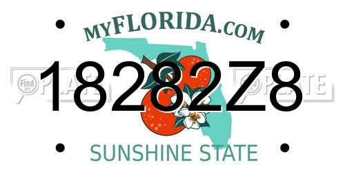 18282Z8 Florida License Plate