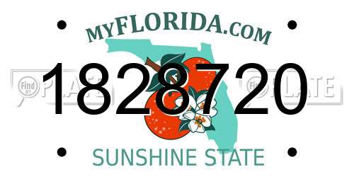 1828720 Florida License Plate