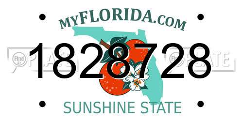 1828728 Florida License Plate