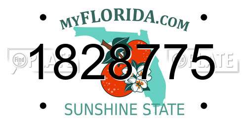1828775 Florida License Plate