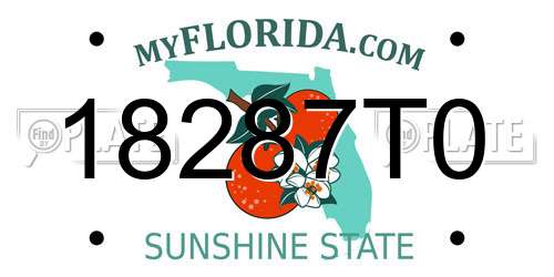 18287T0 Florida License Plate
