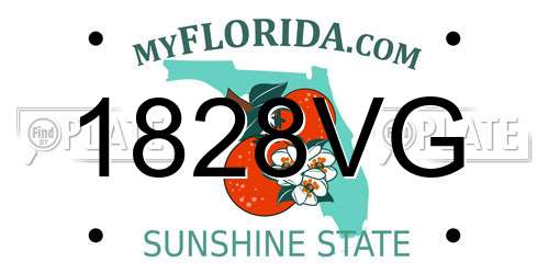 1828VG Florida License Plate