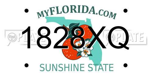 1828XQ Florida License Plate