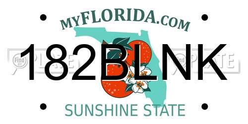 182BLNK Florida License Plate