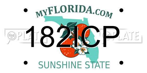 182ICP Florida License Plate