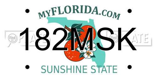 182MSK Florida License Plate